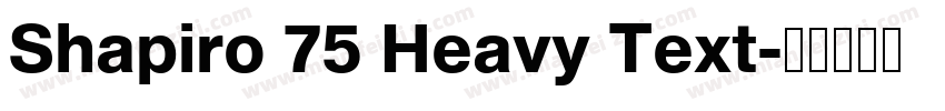 Shapiro 75 Heavy Text字体转换